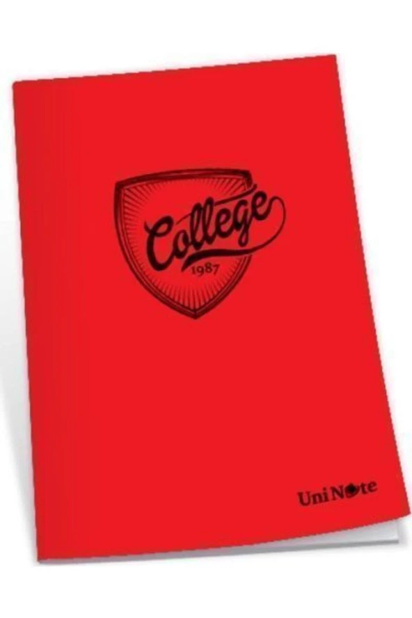 Çınar College Dikişli Plastik Kapak A4 100 Yaprak Çizgili Okul Defteri 100/1 (12 Adet) - 2
