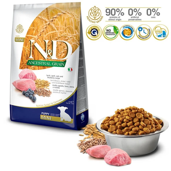 N&D Az Tahıllı Kuzulu&Yabanmersinli Mini Irk Yavru Köpek Maması 2,5 Kg - 2