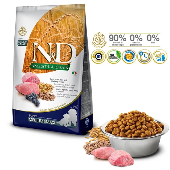 N&D Az Tahıllı Kuzulu Orta-Büyük Irk Yavru Köpek Maması 12 KG - 2