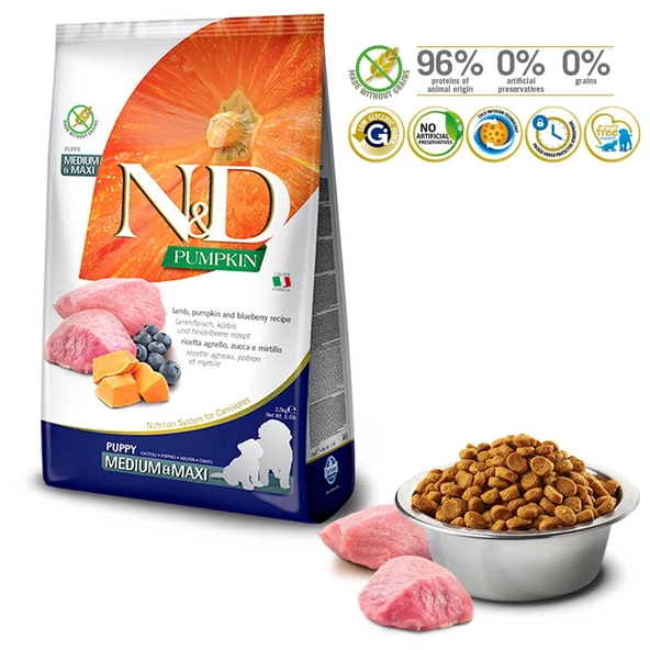 N&D Balkabaklı Kuzulu Orta-Büyük Irk Yavru Köpek Maması 12 KG - 2