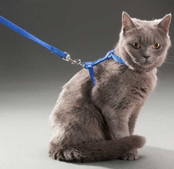 Ayarlanabilir Kedi Tasması 120 cm (4 Renk) - 3