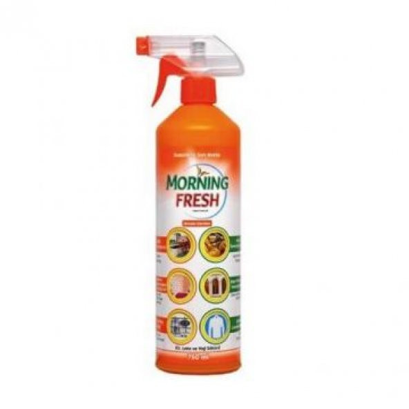 Morning Fresh Kir Leke Ve Yağ Sökücü Temizleyici 750 Ml