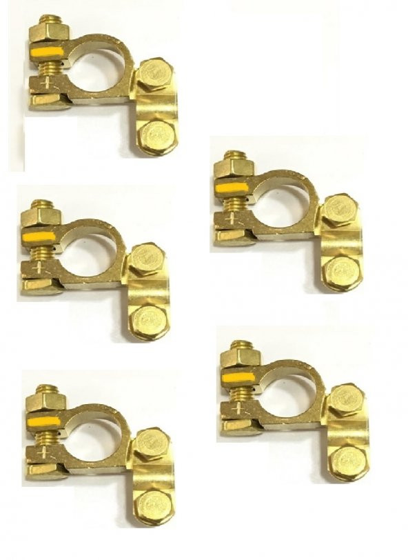 KUTUP BAŞI + 5 ADET