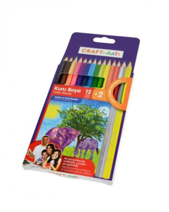 Craft And Arts İnce Kuru Kalem Boya Seti 12+2'li - 3