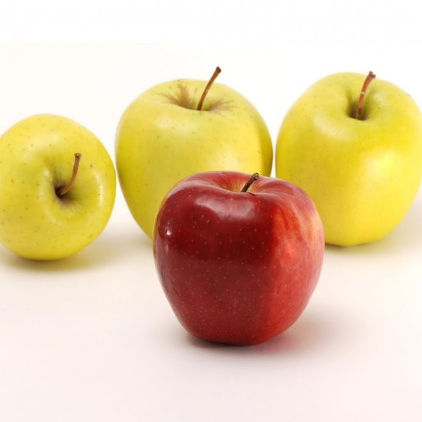 Tüplü Çift Aşı Sarmal Golden Ve Red Chief Elma Fidanı (7 Yaş 2 M) ürün görseli 1