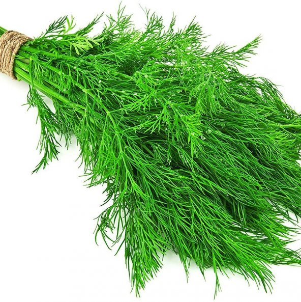 Doğal Dere Otu Tohumu (100 tohum) ürün görseli 1