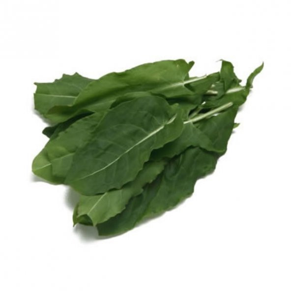 Doğal Kuzu Kulağı Tohumu (50 tohum) ürün görseli 1