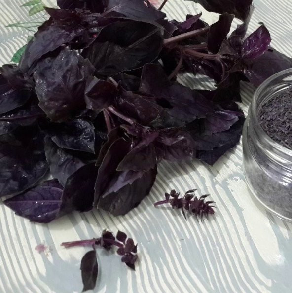 Koyu Opal Siyah Tatlı Fesleğen Tohumu (100 tohum) ürün görseli 1