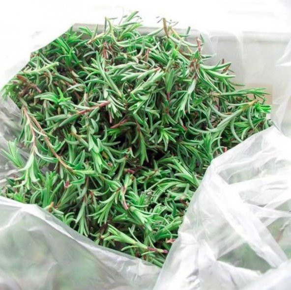 Doğal Zahter Kekiği Tohumu (200 tohum) ürün görseli 1