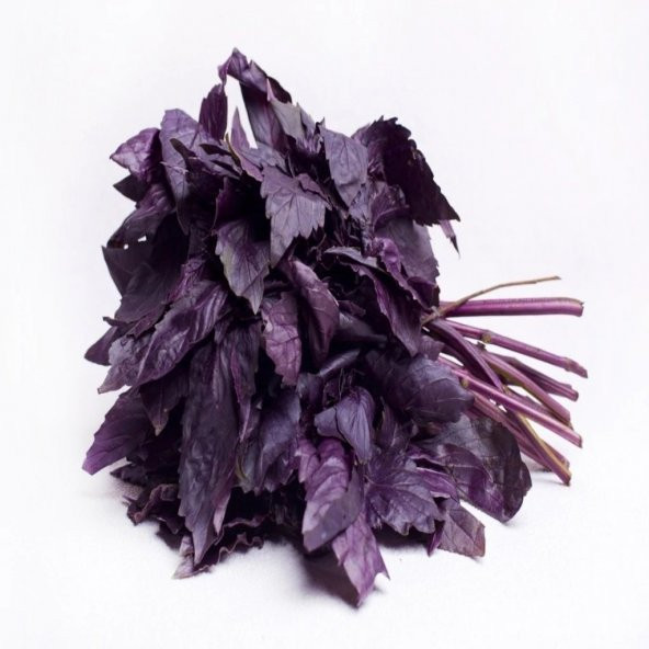 Red Basil Boza Kırmızı Tatlı Fesleğen Tohumu (100 tohum) ürün görseli 1