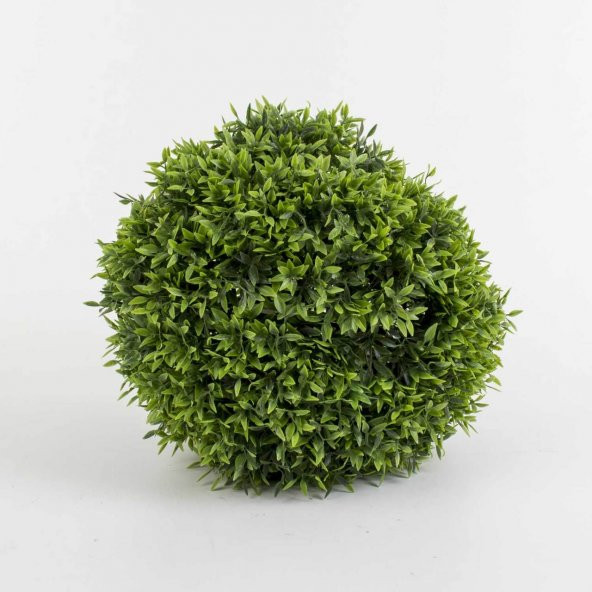 Top Reyhan Fesleğen Tohumu ürün görseli 1