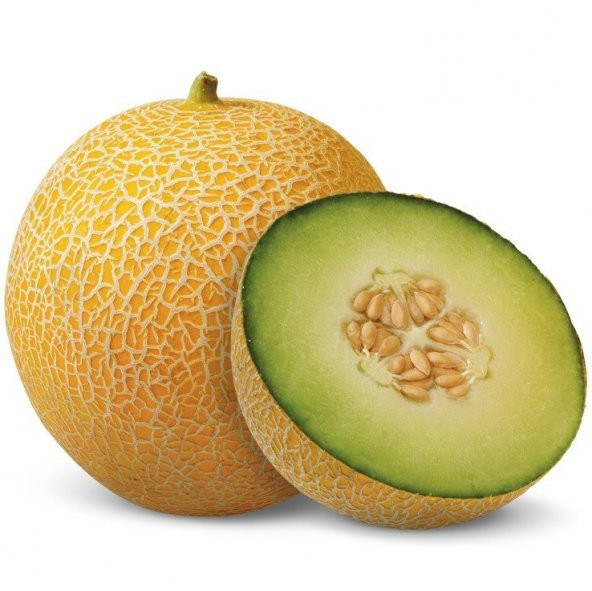 Çok İri Biton F1 Kavun Tohumu (10 tohum) ürün görseli 1