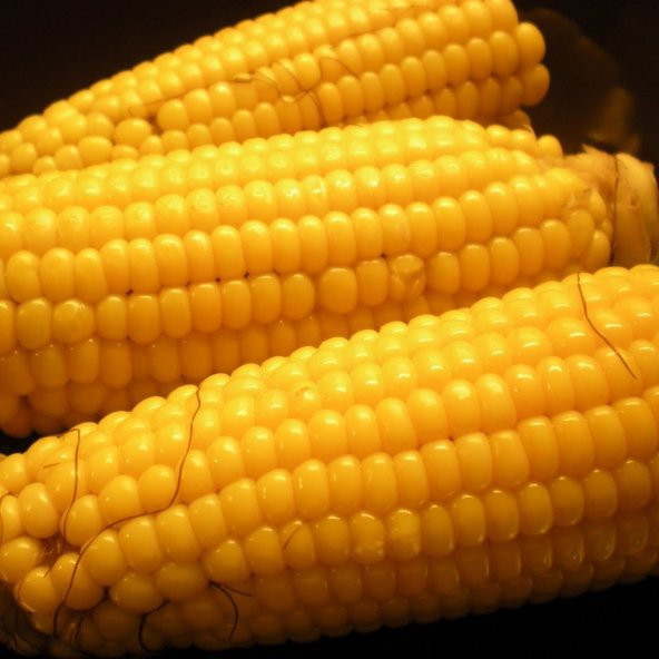 Tatlı İri Taneli Haşlamalık Süt Mısır Tohumu (25 tohum)