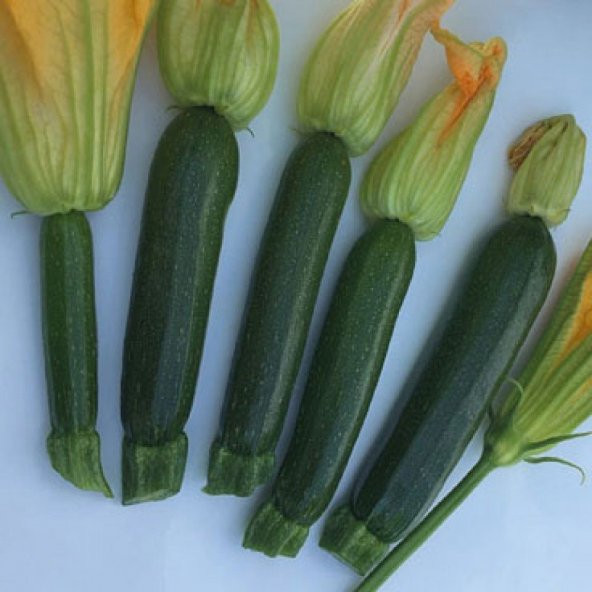 Doğal Siyah Sofralık Kızartmalık Kabak Tohumu (20 tohum) ürün görseli 1