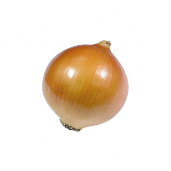 Uzun Gün Valencia Soğan Tohumu (10 gram)