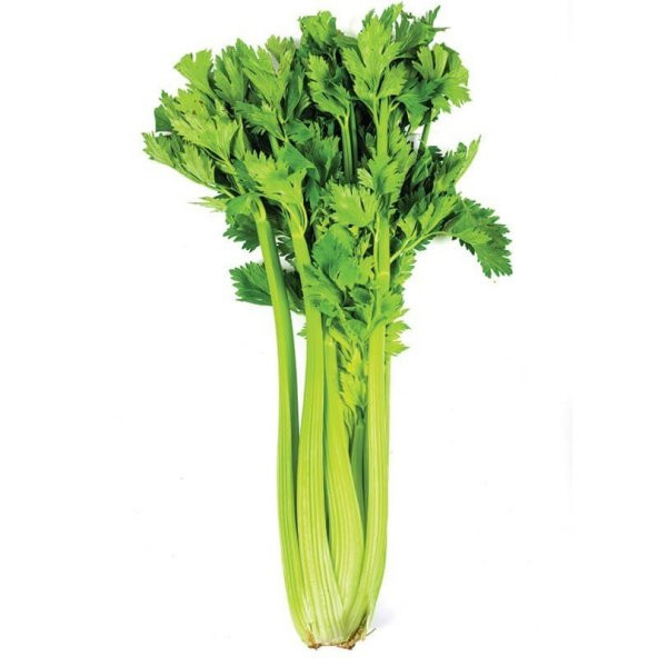 Çanakkale Kereviz Tohumu (10 gram)