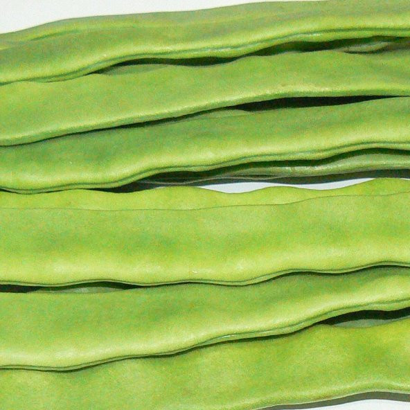 Helda Fasülye Tohumu (20 Adet) ürün görseli 1