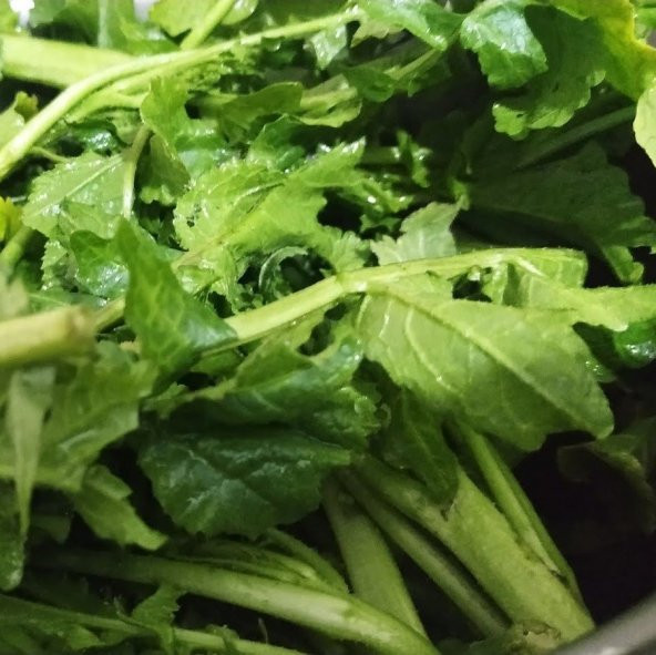 Doğal Hardal Otu Tohumu (100 tohum) ürün görseli 1