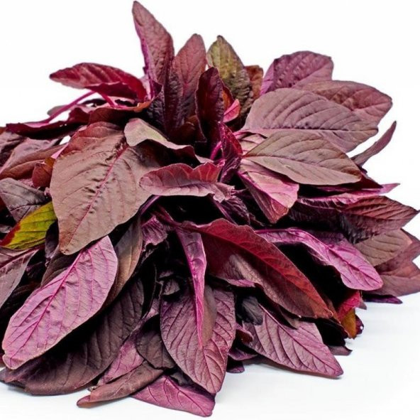 Kırmızı Amarant Tohumu (100 tohum) ürün görseli 1