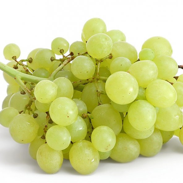 Tüplü İri Taneli Aromatik İtalia Üzüm Asma-Bağ Fidanı ürün görseli 1