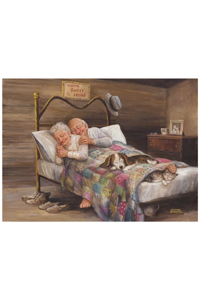 Anatolian 1000 Parçalık Puzzle - Ev Gibisi Yok 3124 - Resim 2