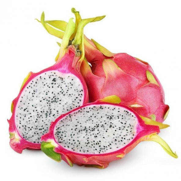 Tüplü Nadir Bulunan İçi Beyaz Pitaya (Ejder Meyvesi) Fidanı - 1