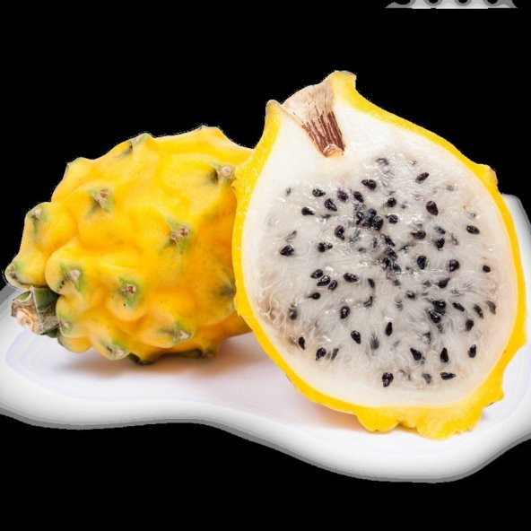 Tüplü Nadir Sarı Pitaya Yellow Dragon Fruit (Ejder Meyvesi) Fidanı - Resim 2