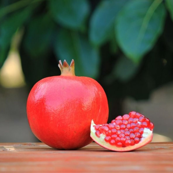 Tüplü Nadir Çeşit Wonderful Nar Fidanı (Sınırlı Sayıda) ürün görseli 1