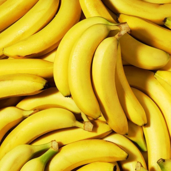 Tüplü Musa Cavendish Bodur Muz Fidanı (Sınırlı Sayı) ürün görseli 1