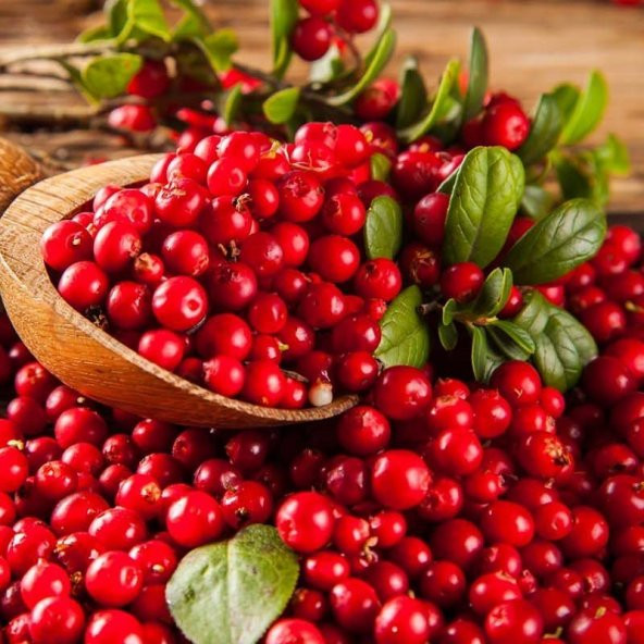 Tüplü Şifalı Küçük Meyveli Anadolu Kızılcık Fidanı ürün görseli 1