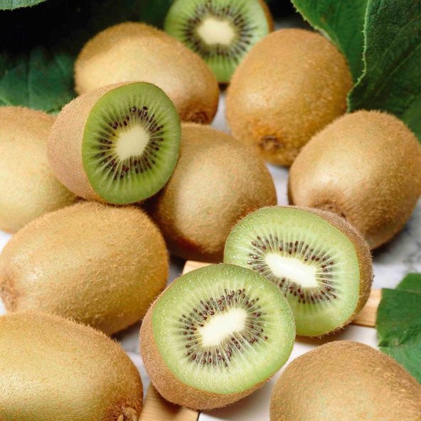Tüplü Hayward Kivi Fidanı (Erkek)