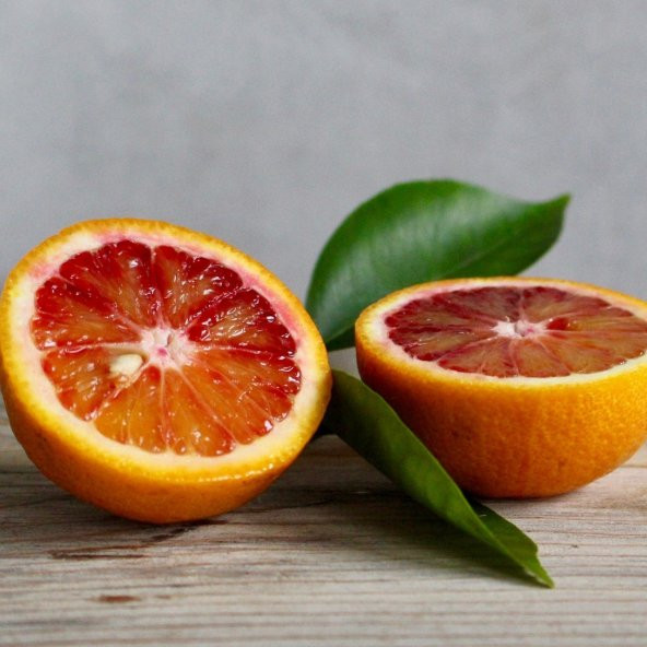 Tüplü Aşılı Özel Ürün Verimli Kan Portakalı Fidanı