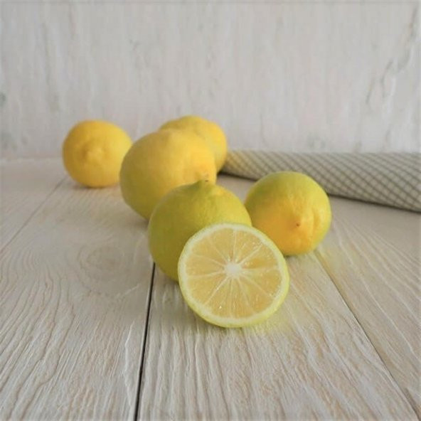 Tüplü Aşılı Tatlı Şeker Limon Fidanı Meyve Verme Yaşında