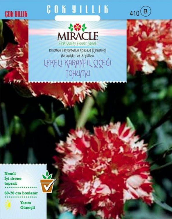Miracle Avranchin Lekeli Karanfil Çiçeği Tohumu (190 tohum)