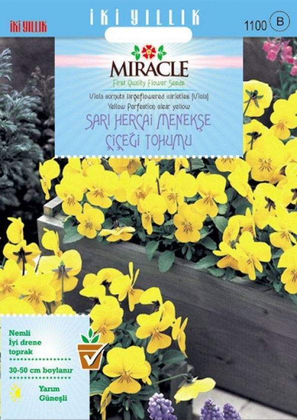 Miracle Sarı Hercai Dev Menekşe Çiçeği Tohumu (150 tohum)