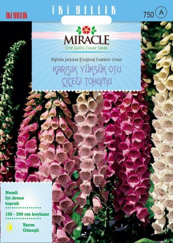 Miracle Excelsior Mixed Karışık Renkli Yüksükotu Çiçeği Tohumu (700 tohum)