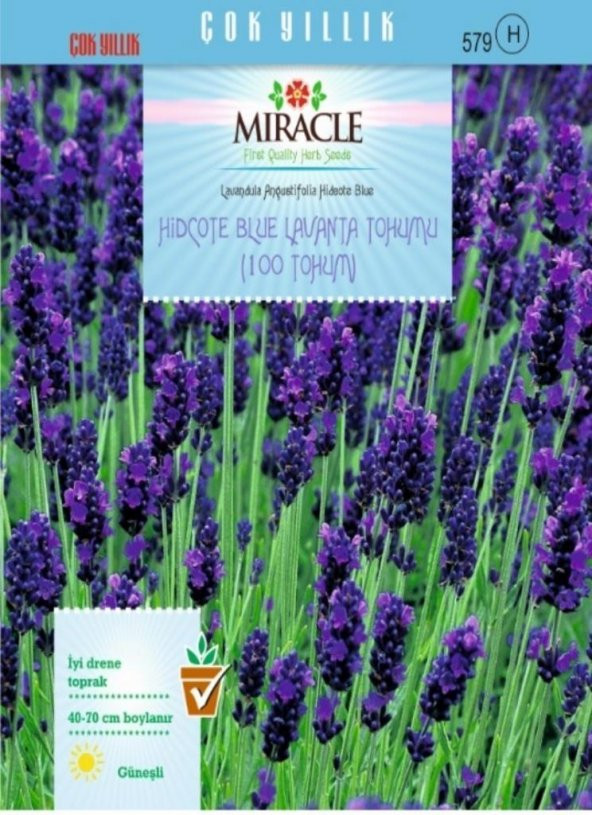 Miracle Hidcote Blue Lavanta Tohumu (100 tohum) ürün görseli 1