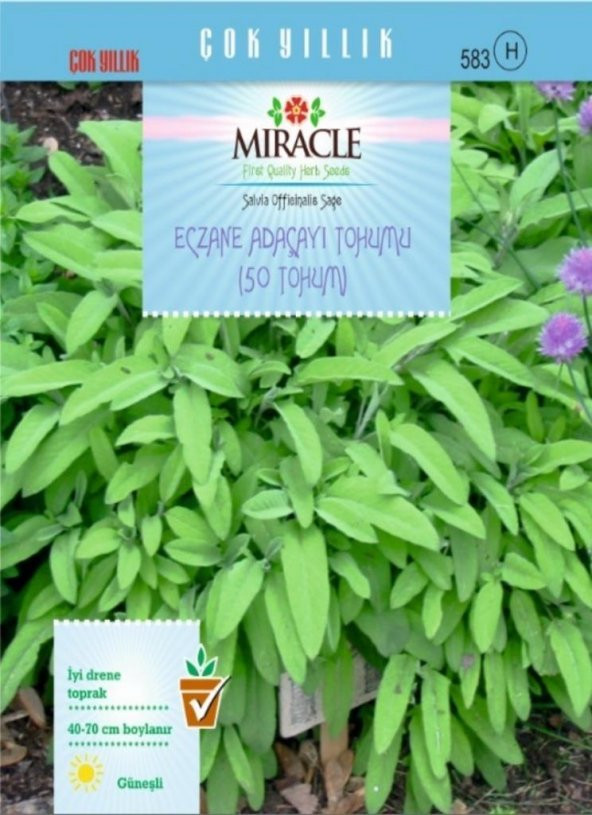 Miracle Eczane Adaçayı Tohumu (50 tohum)