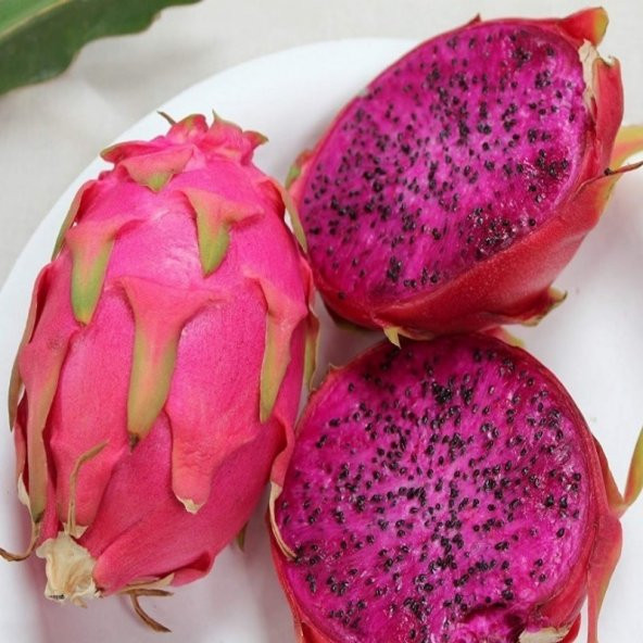 Doğal İçi Kırmızı Ejder Meyvesi (Pitaya) Tohumu (100 tohum) ürün görseli 1