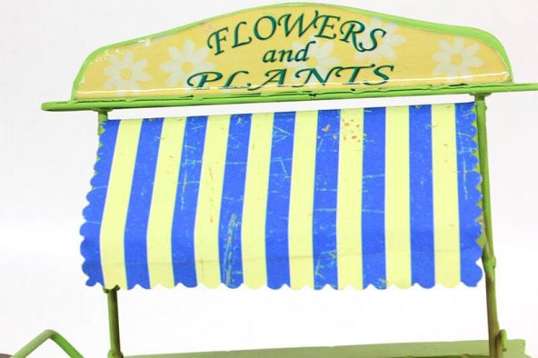 Dekoratif Metal Üç Tekerlekli Çiçek Arabası Biblo Hediyelik - Resim 2