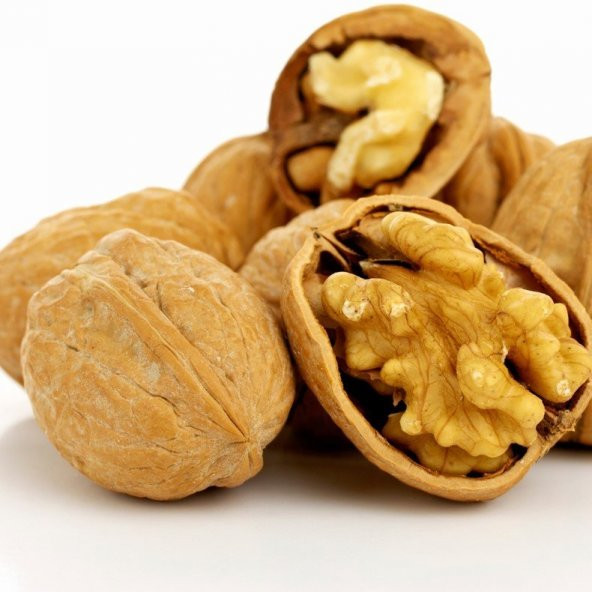 Tüplü İverto Ceviz Fidanı