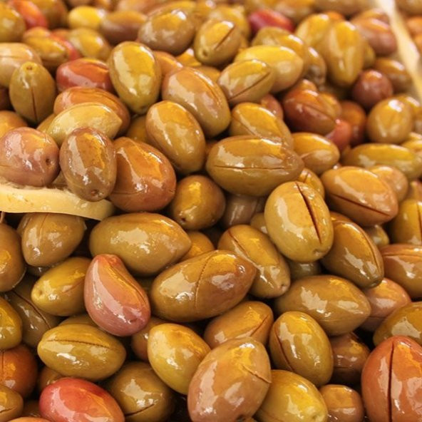 Koroneiki Bodur Zeytin Fidanı (Meyve Verme Durumunda)