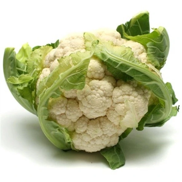 Beyazım Karnabahar Fidesi (5 Adet) ürün görseli 1