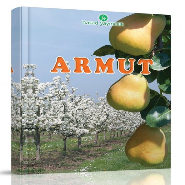 Armut Kitabı