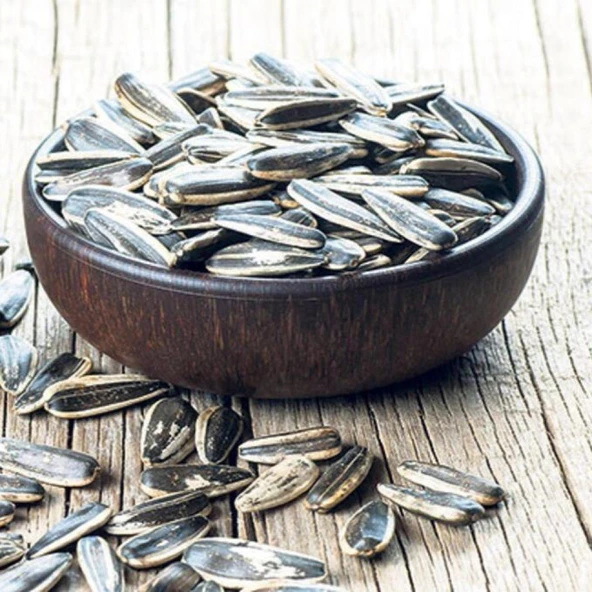 Siyah Çerezlik Çitlemelik Ayçiçeği Fidesi(5 adet)