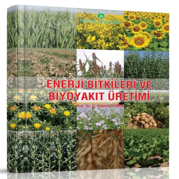 Enerji Bitkileri ve Biyoyakıt Üretimi Kitabı