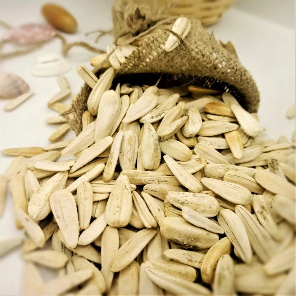 Beyaz Çerezlik Çitlemelik Ayçiçeği Çekirdeği Fidesi (5 adet)