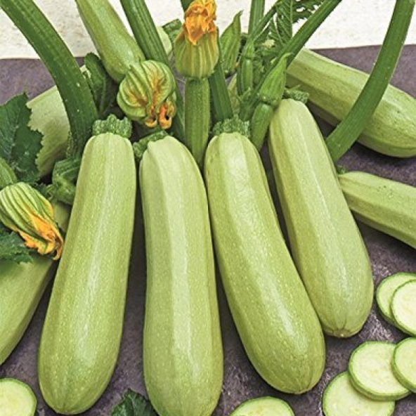 Doğal Beyaz Kabak Fidesi (5 adet)