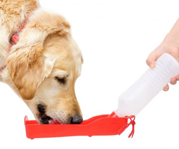 Evcil Hayvan Kedi Köpek Seyahat Suluğu 500 ml - 5