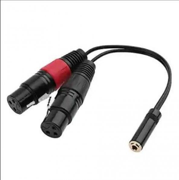 3.5 mm Stereo Dişi-2 Xlr Dişi Kablo 20 cm ürün görseli